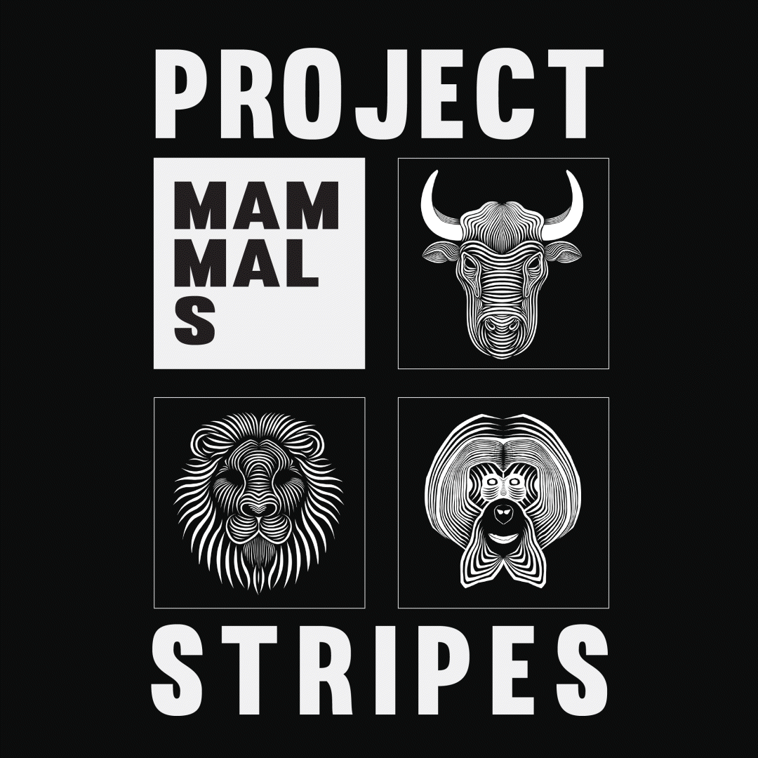 Project Stripes product collage — Mammal Tees collection